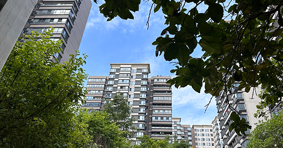 教育官方网站域名查询在哪里