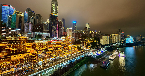 烟台top域名信息查询官方