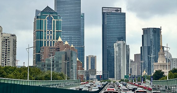 有没有官方渠道查询域名的注册者信息平台